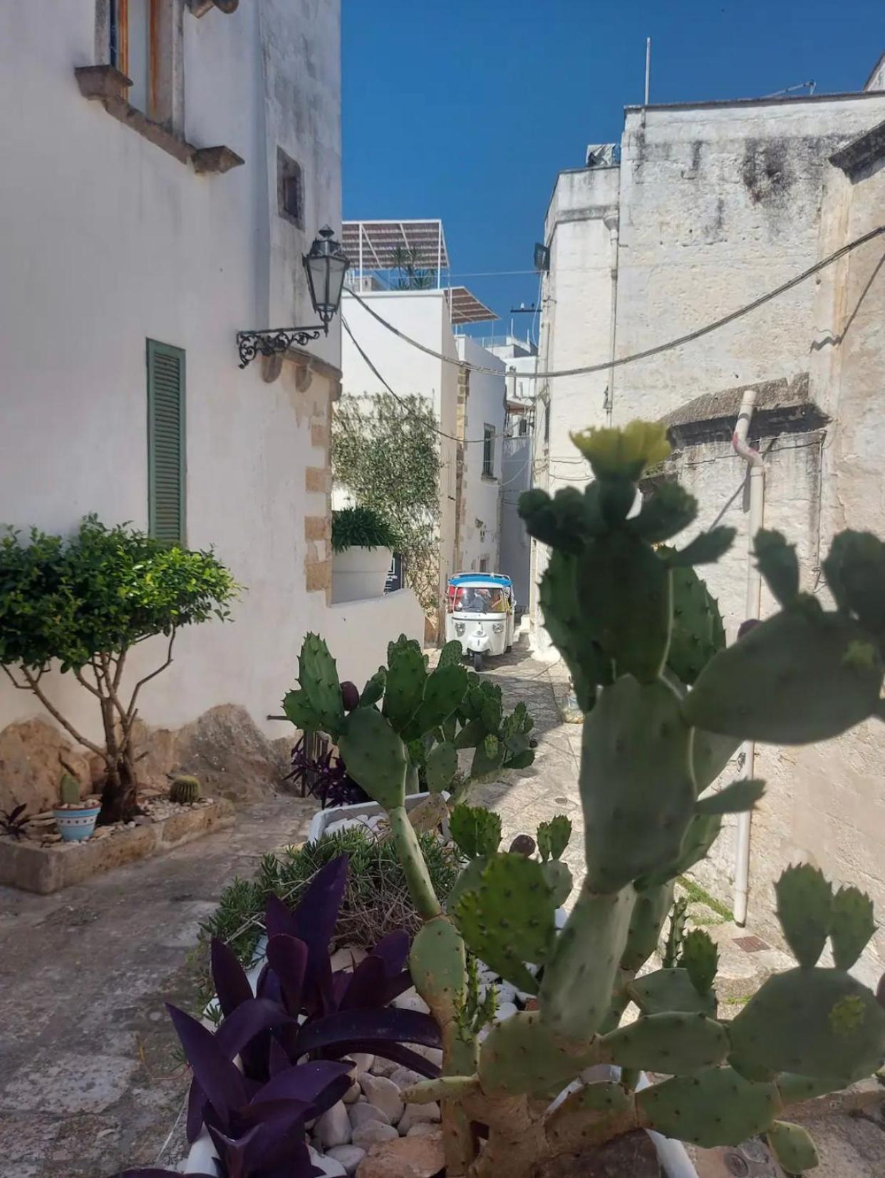 Vista Mozzafiato Sul Mare, Suite Di Lusso - 오스투니 외부 사진